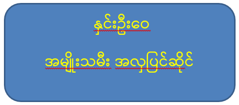 နှင်းဦးဝေ အမျိုးသမီးအလှပြင်ဆိုင် ဘုရားလမ်း