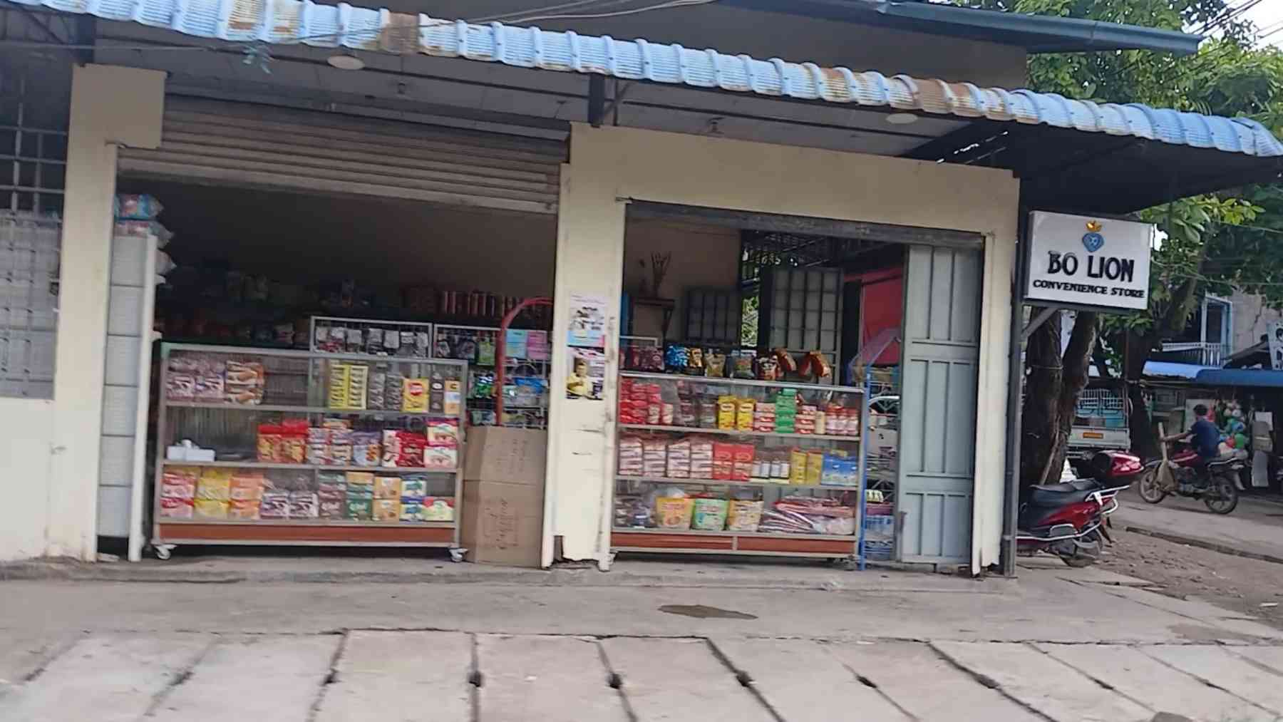 BoLion Store