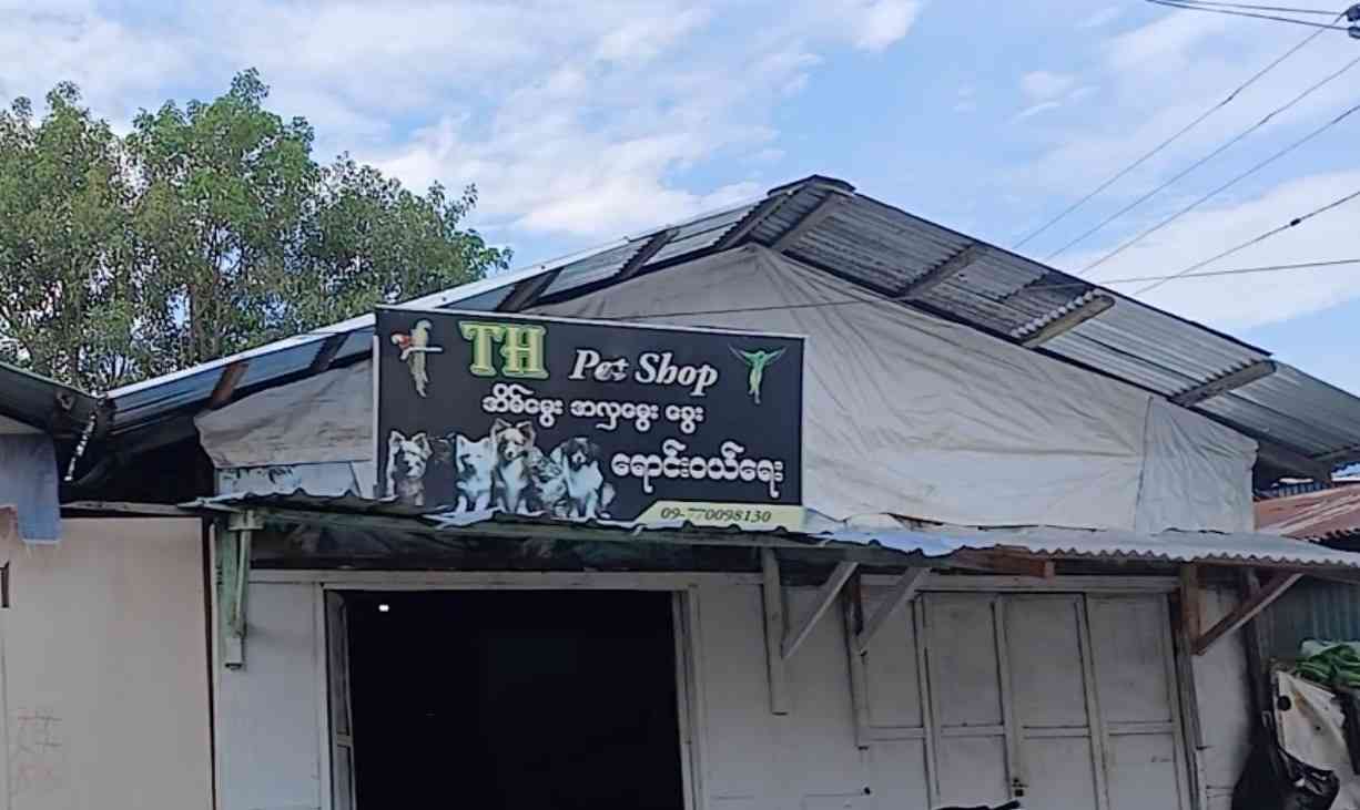 TH Pet Shop